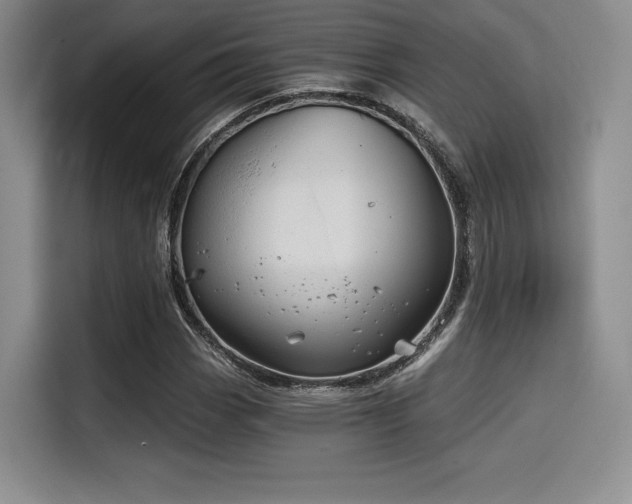 X0000114591113200910191551