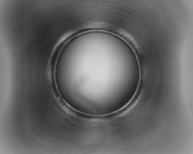 X0000114591114200910191551