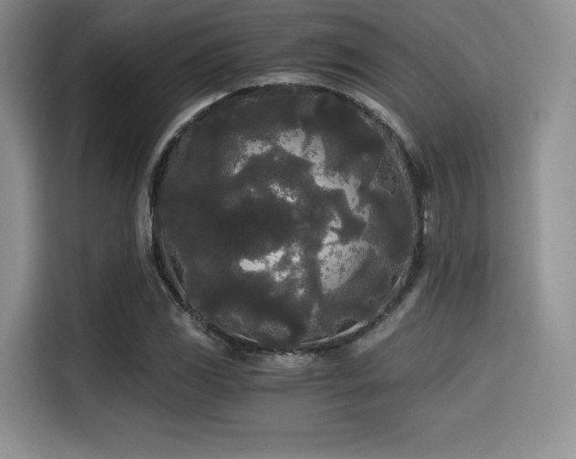 X0000114591117200910191551