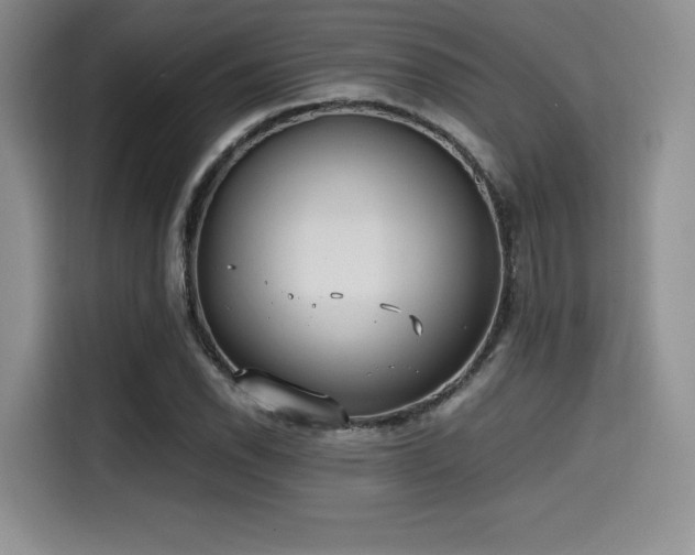 X0000114591118200910191551
