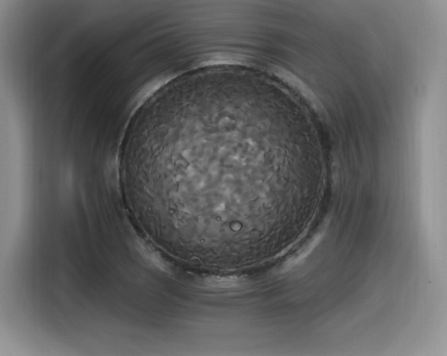 X0000114591121200910191551