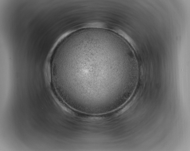X0000114591123200910191551