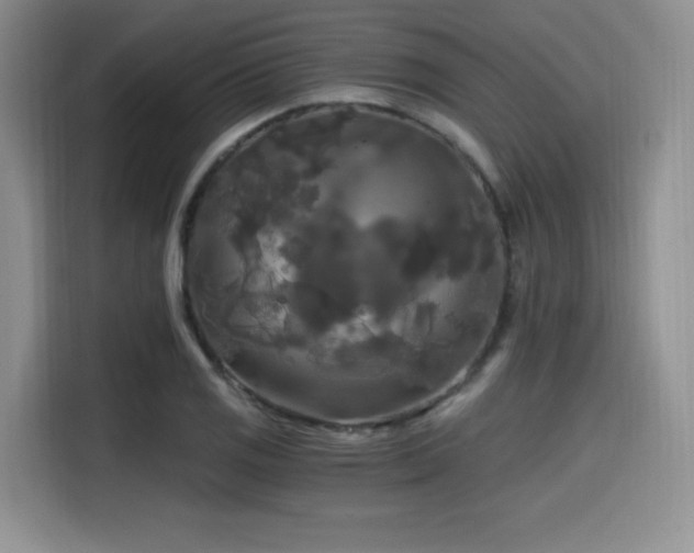 X0000114591125200910191551