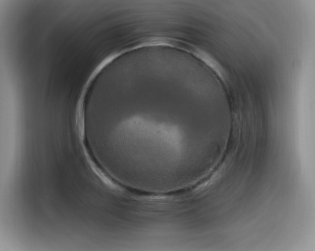 X0000114591127200910191551