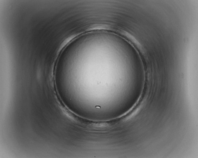 X0000114591129200910191551