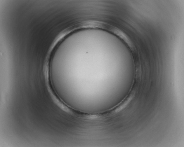 X0000114591130200910191551