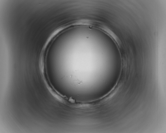 X0000114591131200910191551