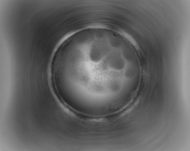 X0000114591133200910191551