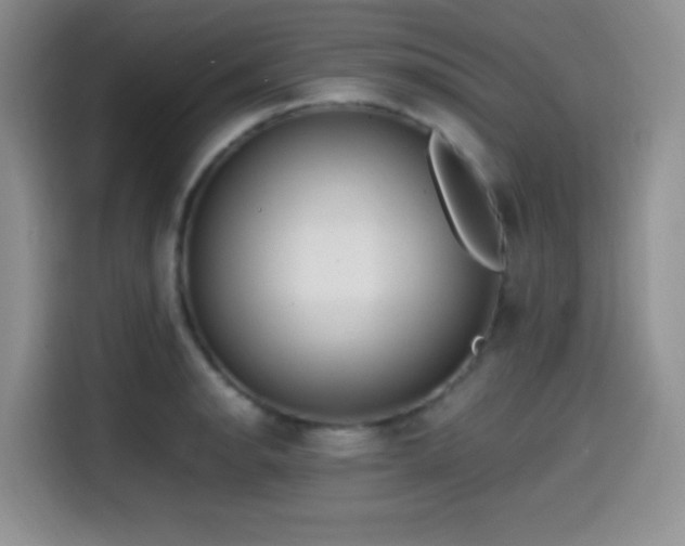 X0000114591134200910191552
