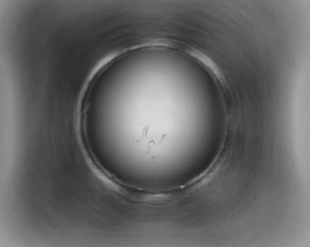 X0000114591135200910191552