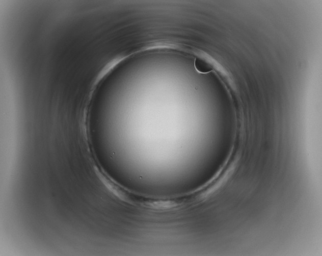 X0000114591137200910191552