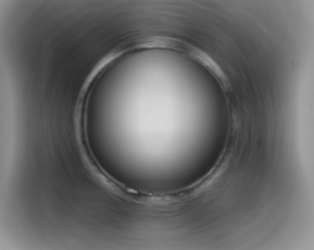 X0000114591138200910191552