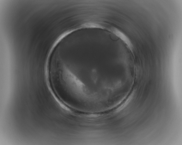 X0000114591141200910191552