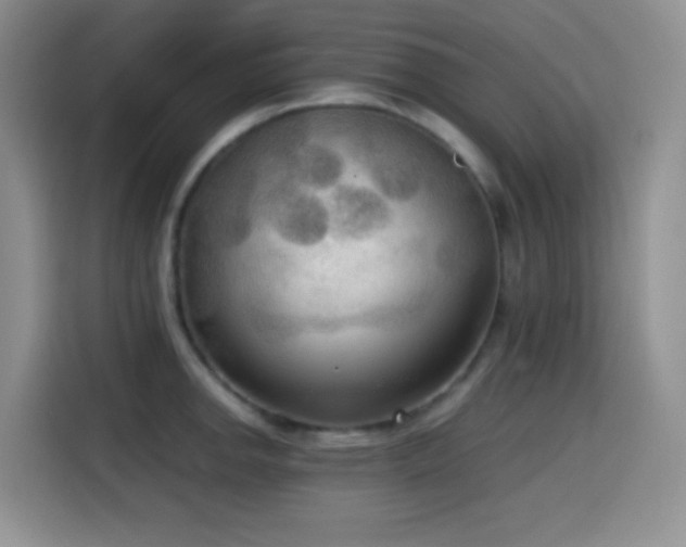X0000114591142200910191552