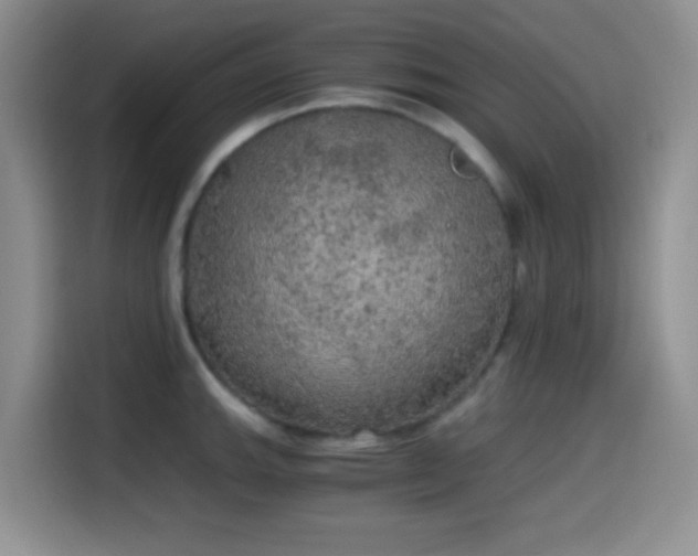 X0000114591143200910191552