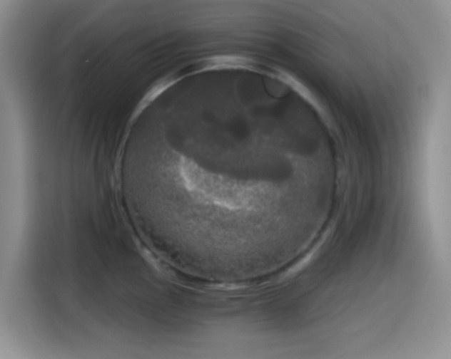 X0000114591145200910191552