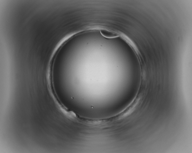 X0000114591149200910191552