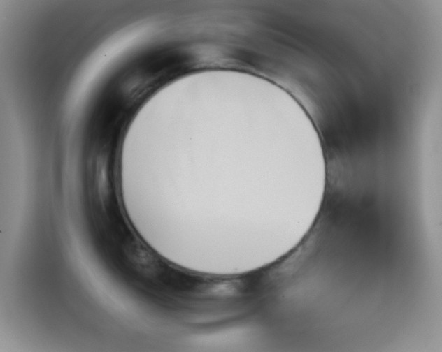 X0000114591150200910191552