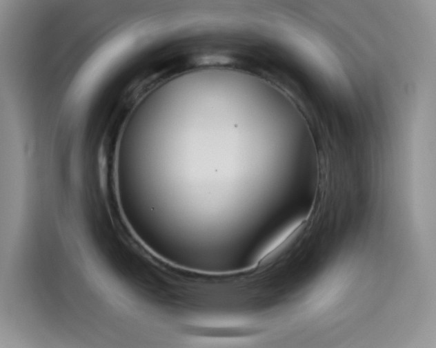 X0000114591151200910191552
