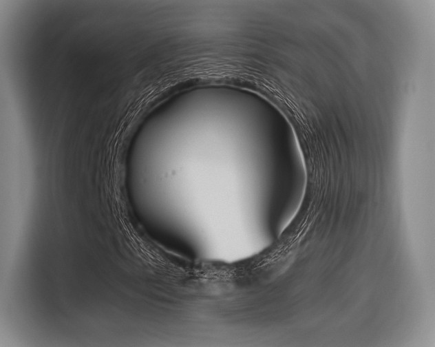 X0000114591153200910191551