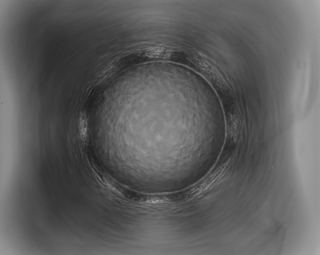 X0000114591154200910191551