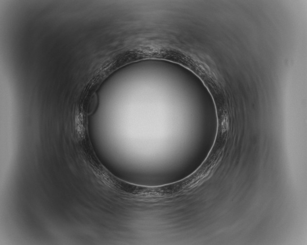 X0000114591156200910191551