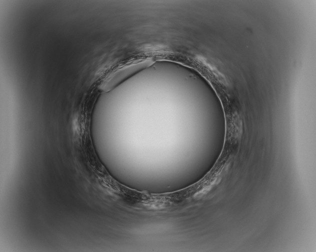 X0000114591157200910191551