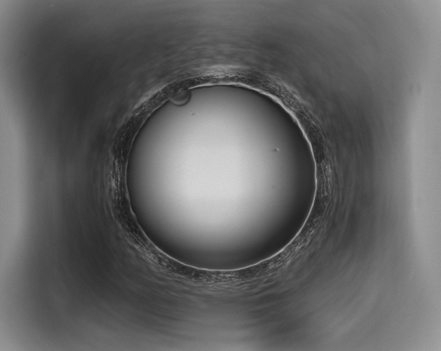 X0000114591158200910191551