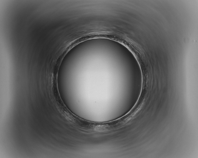 X0000114591161200910191551