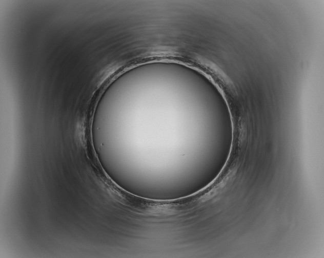 X0000114591162200910191551