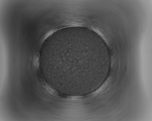 X0000114591163200910191551
