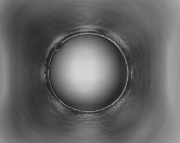 X0000114591164200910191551