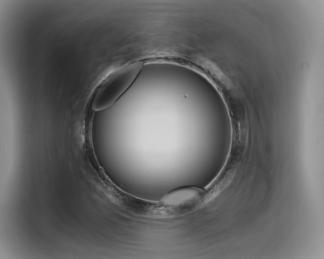 X0000114591165200910191551