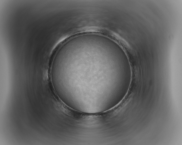 X0000114591166200910191551