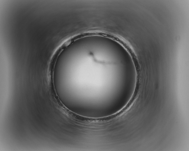 X0000114591167200910191551