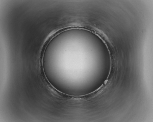X0000114591168200910191551