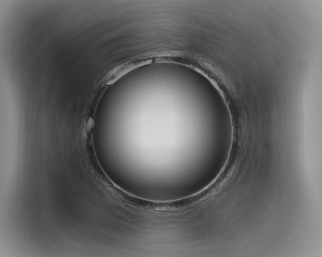 X0000114591169200910191551