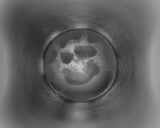 X0000114591171200910191551