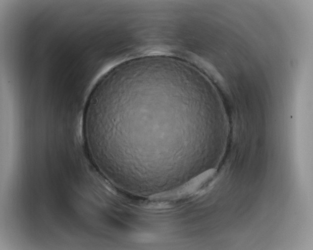X0000114591174200910191551
