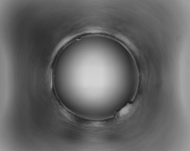 X0000114591175200910191551