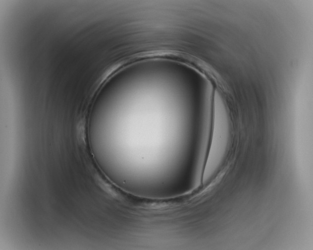 X0000114591177200910191551