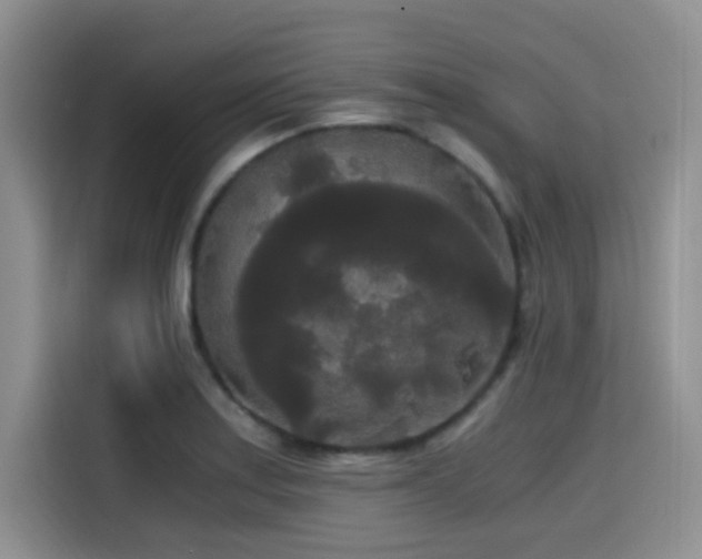 X0000114591179200910191551