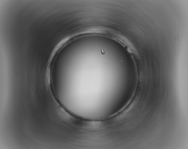 X0000114591180200910191551