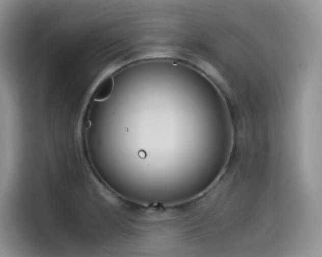 X0000114591181200910191551