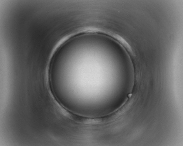 X0000114591183200910191551