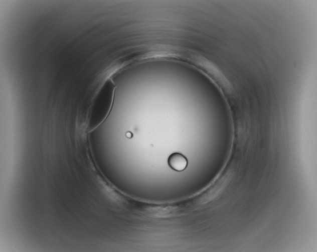 X0000114591185200910191551