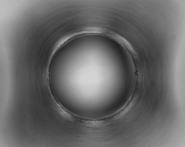 X0000114591192200910191551