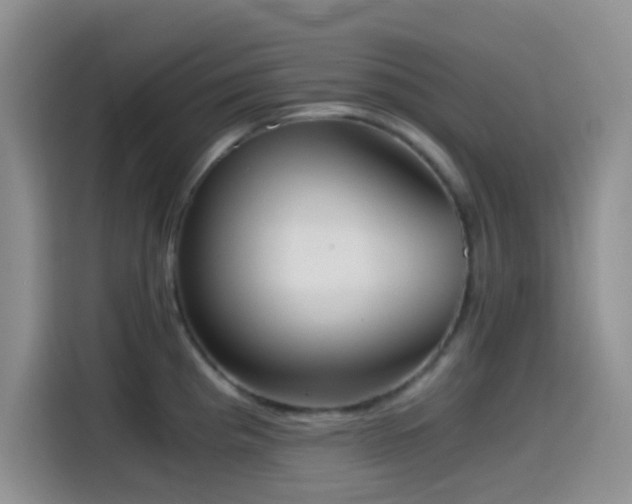 X0000114591193200910191551