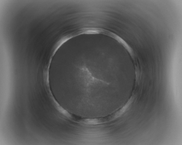 X0000114591194200910191551
