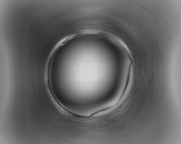 X0000114591195200910191551